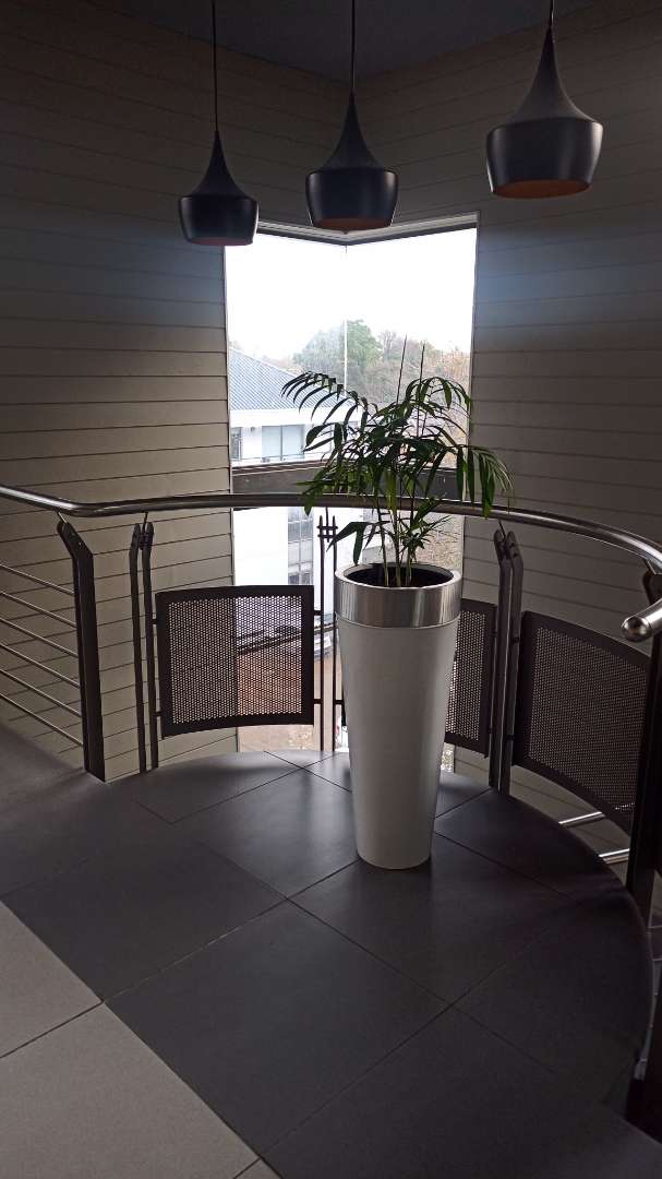 To Let commercial Property for Rent in Newlands Western Cape